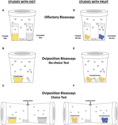 Elicitors of plant defenses as a standalone tactic failed to provide sufficient protection to fruits against spotted-wing drosophila